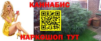 мдпв Татарск